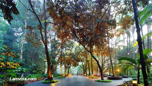 Visa du lịch Singapore